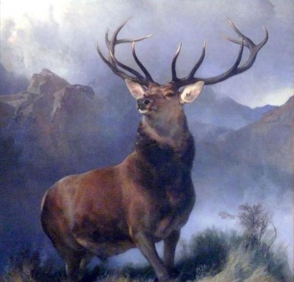 The Monarch Of The Glen