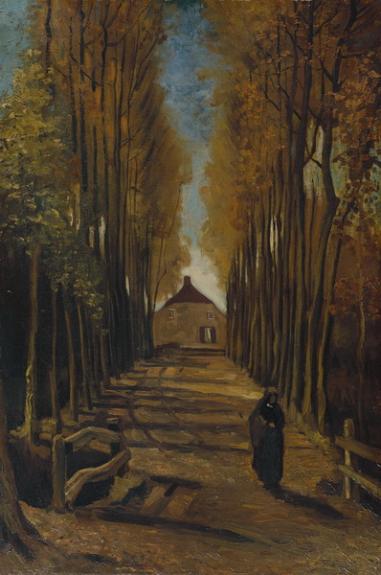 Avenue With Poplars In Autumn