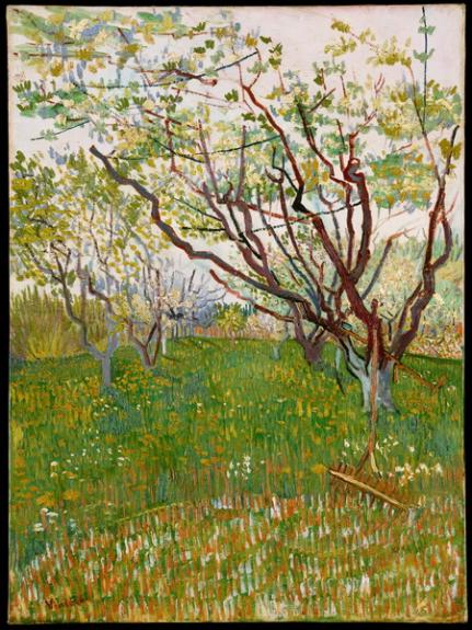 The Flowering Orchard